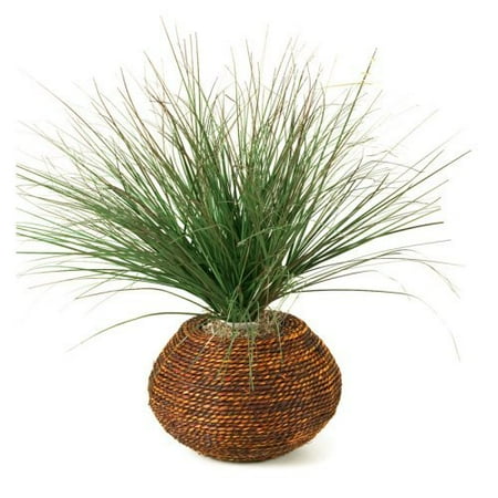 D and W Silks Green/Brown Onion Grass in Round Rope Planter