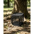 thumbnail image 3 of Collapsible Insect Habitat Cage 30x30x30cm Black Trim Black Mesh Pop Up Cage with Zipper for Outdoor Use, 3 of 4