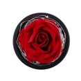 thumbnail image 2 of Labymos Heart Glass Dome Simulation Rose Flower String Light Home Night Light Decoration Valentine's Day, 2 of 8
