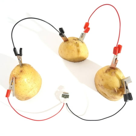 

XinYux DIY Potato Fruit Power Battery Bio Energy Light Diode Clock Kit Experiment Toy