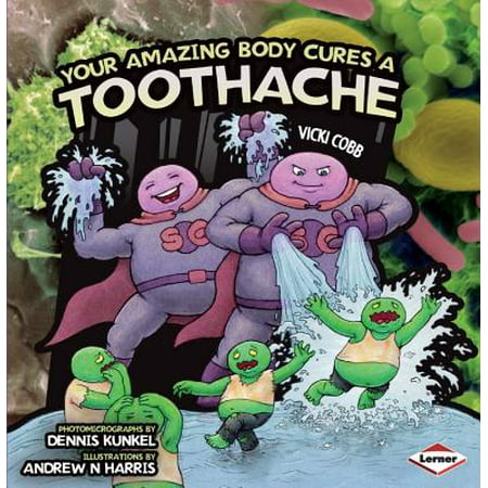 Your Amazing Body Cures a Toothache (Best Cure For Toothache At Home)