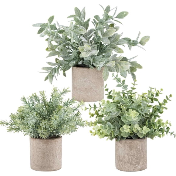 Der Rose Lot de 3 Mini Plantes en Pot Fausses Plantes d'Eucalyptus Artificielles en Plastique pour Maison Bureau Bureau Déco de Chambre Style Ferme Intérieur