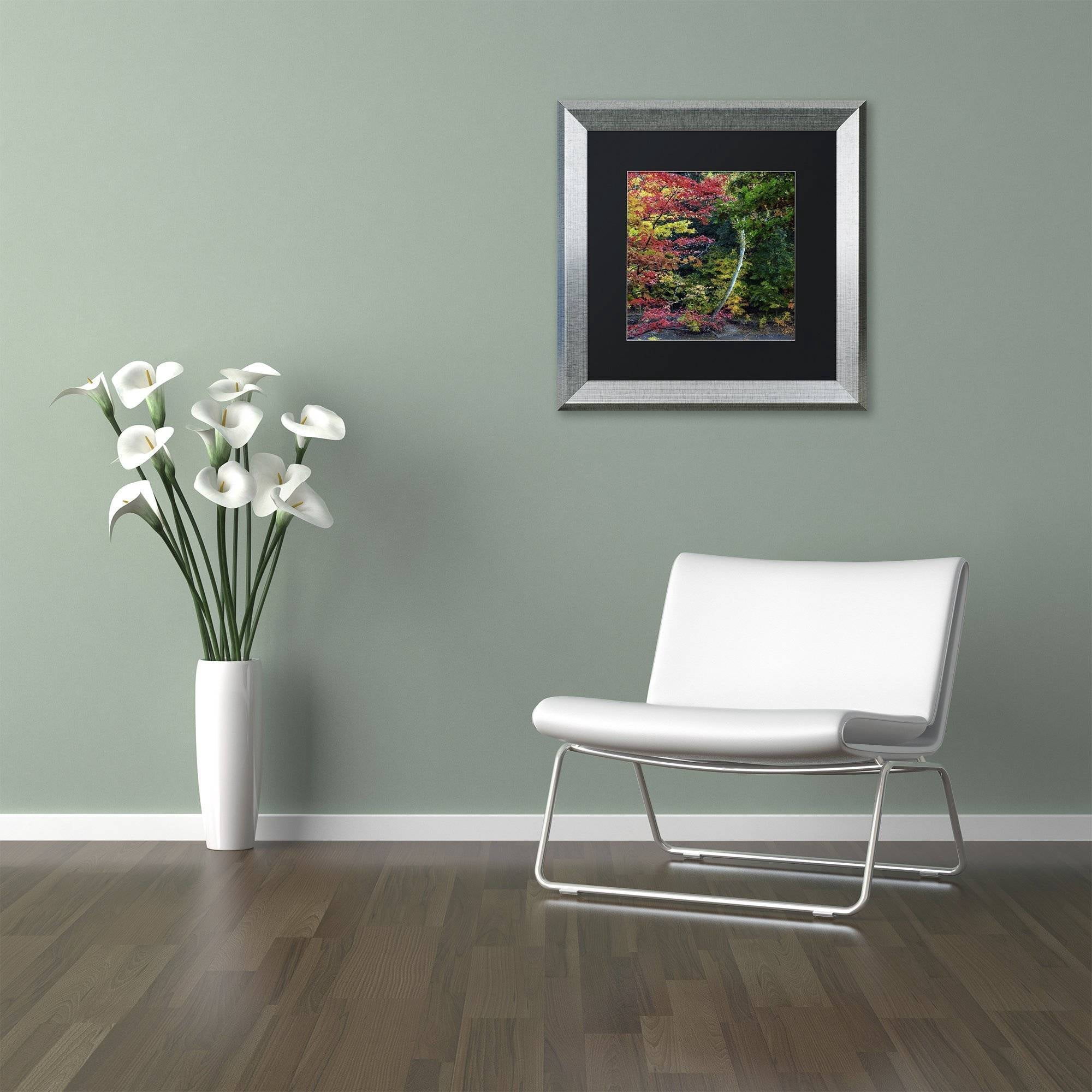Trademark Fine Art "All the Colors of October in Ohio" Canvas Art by Kurt Shaffer, Black Matte, Silver Frame