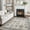 LF9991-GRI, variant on KUETH 8'x10' Area Rugs for Living Room, Non Slip Machine Washable Vintage Indoor Rug, Low Pile Chenille Print Rug for Bedroom Dining Room Home Office