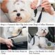 thumbnail image 4 of 2 uds cinturón de seguridad para perros para coche, cinturón de seguridad ajustable de nailon para mascotas, compatible con todos los coches, cinturón de seguridad para perros en el coche, c, 4 of 5