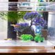 thumbnail image 4 of ADDHAT 1 De Acuáticas Artificiales Para Decorar De Peces Con, 4 of 6