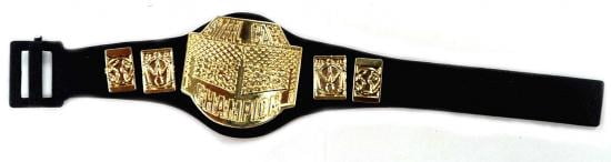 wwe steel cage toy walmart