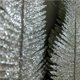 thumbnail image 3 of Wosthever 6 uds plumaje de Navidad Artificial decoración de Navidad para el hogar diseño de escena DIY hoja Navidad decoración Festival Kits de decoración para fiestas, 3 of 6