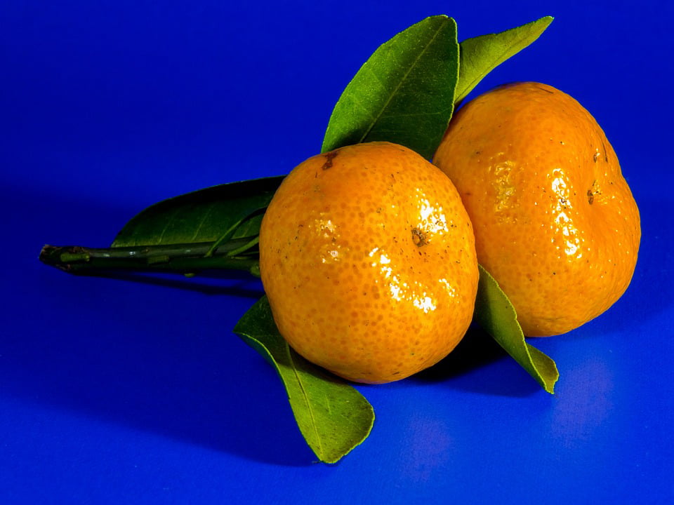 Orange Citrus Fruit Fruit Mandarin12 Inch BY 18 Inch