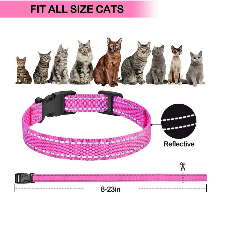 Shock training collar for best sale cats