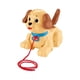 thumbnail image 1 of Caminador Pequeño Snoopy Fisher-Price Infant Multicolor, 1 of 4