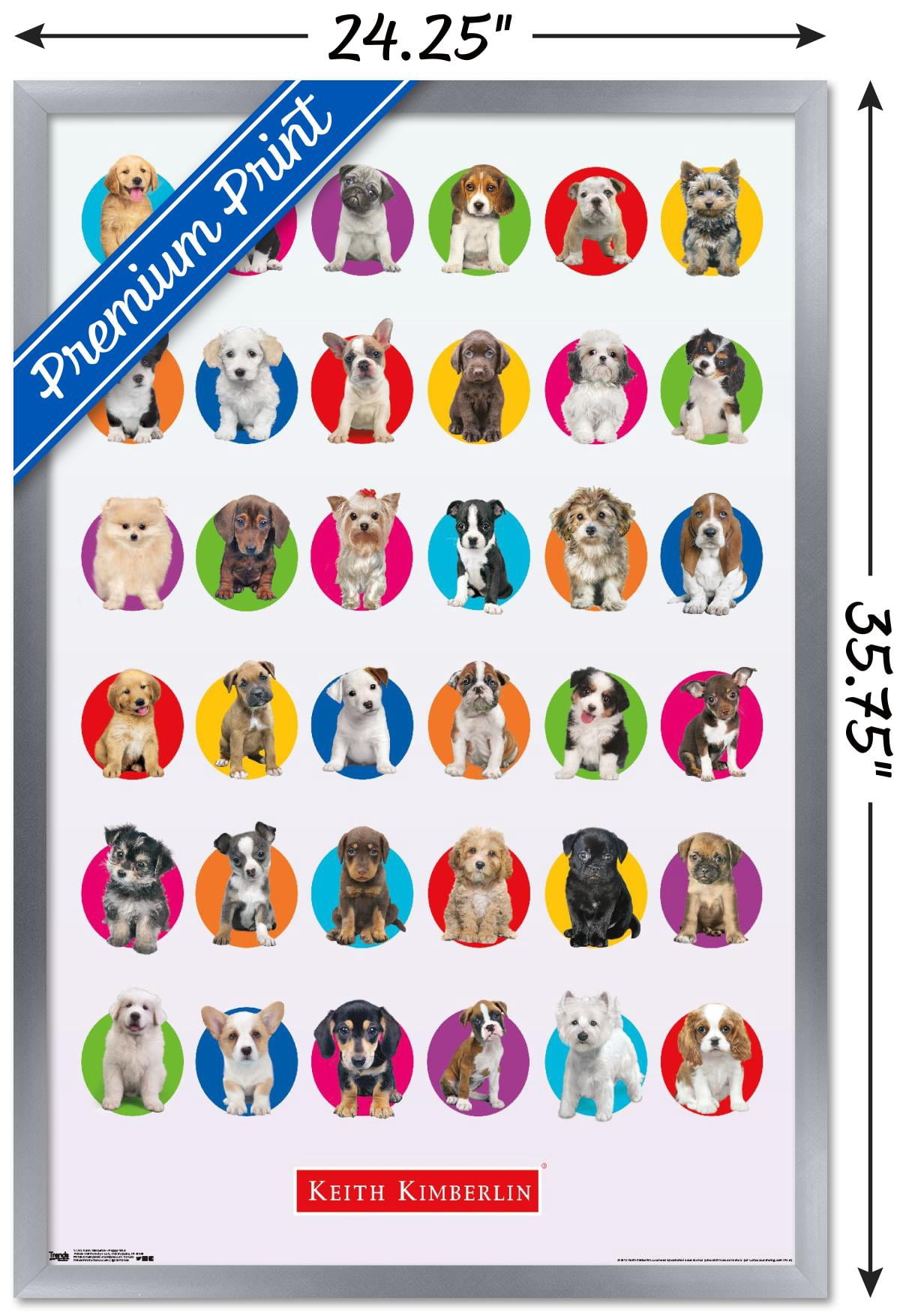Keith Kimberlin - Puppy Grid Wall Poster, 22.375" x 34" Framed
