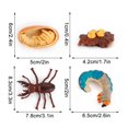 thumbnail image 4 of Fridja 4 Piece Beetle Figure Insect Life Cycle Plastic Brood To Mature Period Educational Toy, 4 of 6