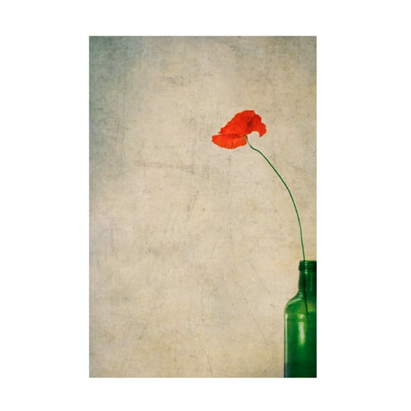 Canvas Wall Art - Delphine Devos 'With Mouth Wide A Pout For A Sultry Kiss ' Wall Art for Living Room, Bedroom, or Office Décor by Trademark Fine Art - 12 x 19 Inches