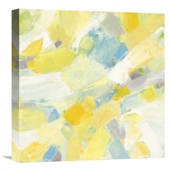 Global Gallery Albena Hristova 'Sunspots' Canvas Wall Art