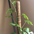 thumbnail image 3 of Oubit Plant Support Extension,2pcs Coir Totem Pole Plant Coir Moss Stick Coir Totem Pole Smart Functionality, 3 of 7