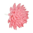 thumbnail image 3 of Uxcell Picos de Suculentas Artificiales Sin Maceta Plantas Suculentas Falsas Pequeñas Paquete de 4 Rojas, 3 of 5