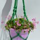 thumbnail image 4 of Maceta colgante para plantas, ideal para decorar techos, terrazas y balcones (verde), 4 of 5