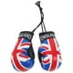 thumbnail image 1 of 1 par de mini colgantes de guantes de boxeo. Decoración colgante., 1 of 7