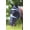 Black, variant on Shires Fine Mesh Fly Mask with Ears & Nose (Pony, Black)