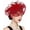 Wine Red, variant on Fascinators Hats for Women Party Fascinators Flower Headband Headwear Hair Clip for Wedding Church