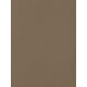 thumbnail image 5 of CAMISETA CASUAL DE AJUSTE SLIM CON CUELLO BARCO Y MANGAS ALBARDADAS PARA MUJERES INSPIRADAS EN CHIC COLOR CAMEL TALLA XS, 5 of 6