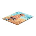 thumbnail image 1 of "Ratón de tesoros de Caroline / Hot Pad / Trivet, Chesapeake Bay Retriever (7112MP)" Caroline's Treasures 7112MP, 1 of 1