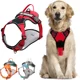 thumbnail image 1 of Pecheras Para Perro Pechera Arnés De Regulable Transpirable, 1 of 4