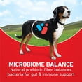 thumbnail image 5 of Purina ONE Chicken and Rice Formula Natural Dog Food, 16.5 lb, 5 of 13