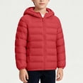 thumbnail image 6 of fatyb Kids Hooded Puffer Jacket with Pockets Boys Girls Full Zip Quilted Coat Long Sleeve Winter Outerwear, 6 of 7