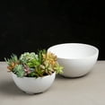 thumbnail image 4 of Root & Vessel Napa Bowl Planter, White, 10", 4 of 4