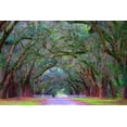 thumbnail image 2 of Miller, Anna 18x13 Black Ornate Wood Framed with Double Matting Museum Art Print Titled - Oak Alley-Wormsloe Plantation-Savannah-Georgia-USA, 2 of 4