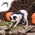thumbnail image 2 of Sentmoon Halloween Outdoor Decorations Halloween Decoration Halloween Pet Tarantula Costume Halloween Dog Transformation Costume Tarantula Decoration Costume for Pet Halloween Outfit, 2 of 7