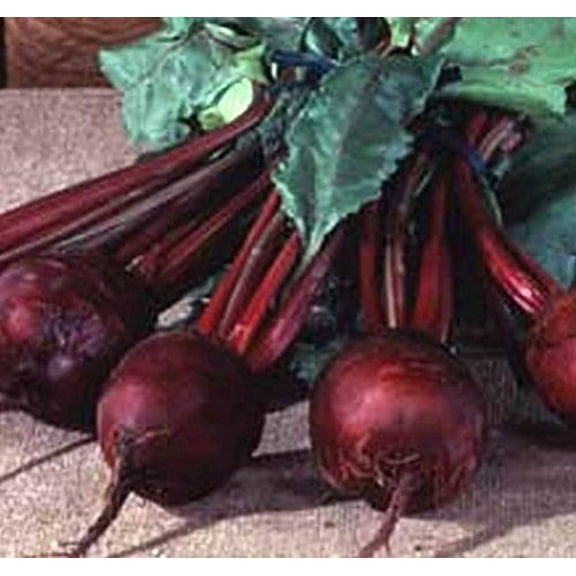 Beet Detroit Dark Red Great Heirloom Vegetable By Seed Kingdom 1 Lb Seeds