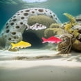thumbnail image 1 of Nestingho 5Ud De Peces Artificiales Flotantes En Resina Para De Acuarios Y Baños, 1 of 8