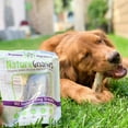 thumbnail image 5 of Nature Gnaws Beef Marrow Bones (2 count) - 100% Natural Dog Chews, 5 of 6