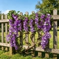 thumbnail image 5 of 6 Feet 10 Branches Purple Artificial Wisteria Flowers Hanging Vine for Home Garden Wedding Decor, by Bradem, 5 of 5