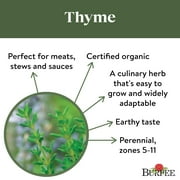 Burpee Organic Thyme Herb Seed, 1-Pack