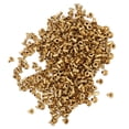 thumbnail image 1 of 500Pcs Brass Hollow Rivets, Excellent Elasticity, Rounded Edges bag Hollow Rivets for Leather Handbags Shoes Clothes, Copper Eyelet Hollow Rivet, 1 of 7