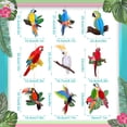thumbnail image 3 of Decoraciones colgantes para fiestas con pájaros tropicales Spakon, juego de 9, 3 of 6