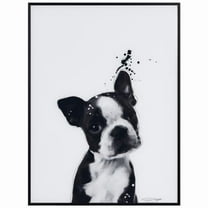 "Boston Terrier" Pet Paintings on Printed Glass Encased with a Gunmetal Anodized Frame