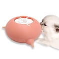 thumbnail image 1 of Tazón De Fuente De Leche De Burbujas De Silicona Para Mascotas, Alimentador De 3 Pezones Para Mascotas Recién Nacidas, Gatitos, Cachorros, Tazón De Alimentación Yuarrent PT002256-00, 1 of 6