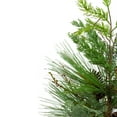 thumbnail image 4 of Northlight Real Touch™️ Potted Mixed Pine and Cedar Artificial Christmas Tree - 24" - Unlit, 4 of 6