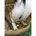 thumbnail image 4 of Ludlz Pet Snacks Apple Wood Sticks Chew Toy for Squirrel Rabbits Bunny Guinea Pigs Chinchilla Hamster, 4 of 5