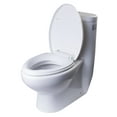 EAGO R309SEAT Replacement Soft Closing Toilet Seat for TB309