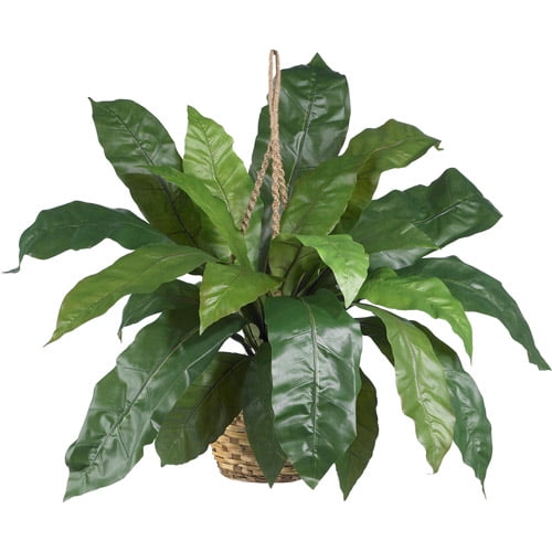 Nearly Natural Large Birds Nest Fern Hanging Basket