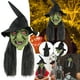 thumbnail image 2 of Máscara de bruja de Halloween, cubiertas para la cabeza de terror, bromas divertidas, cubiertas para la cabeza, cubiertas para los ojos, disfraces para fiestas, 2 of 8