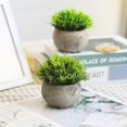 thumbnail image 4 of Hirsch Plantas falsas para decoración del baño/oficina del hogar, pequeñas plantas artificiales de imitación para decoración del hogar (plantas en maceta), 2 uds., 4 of 5