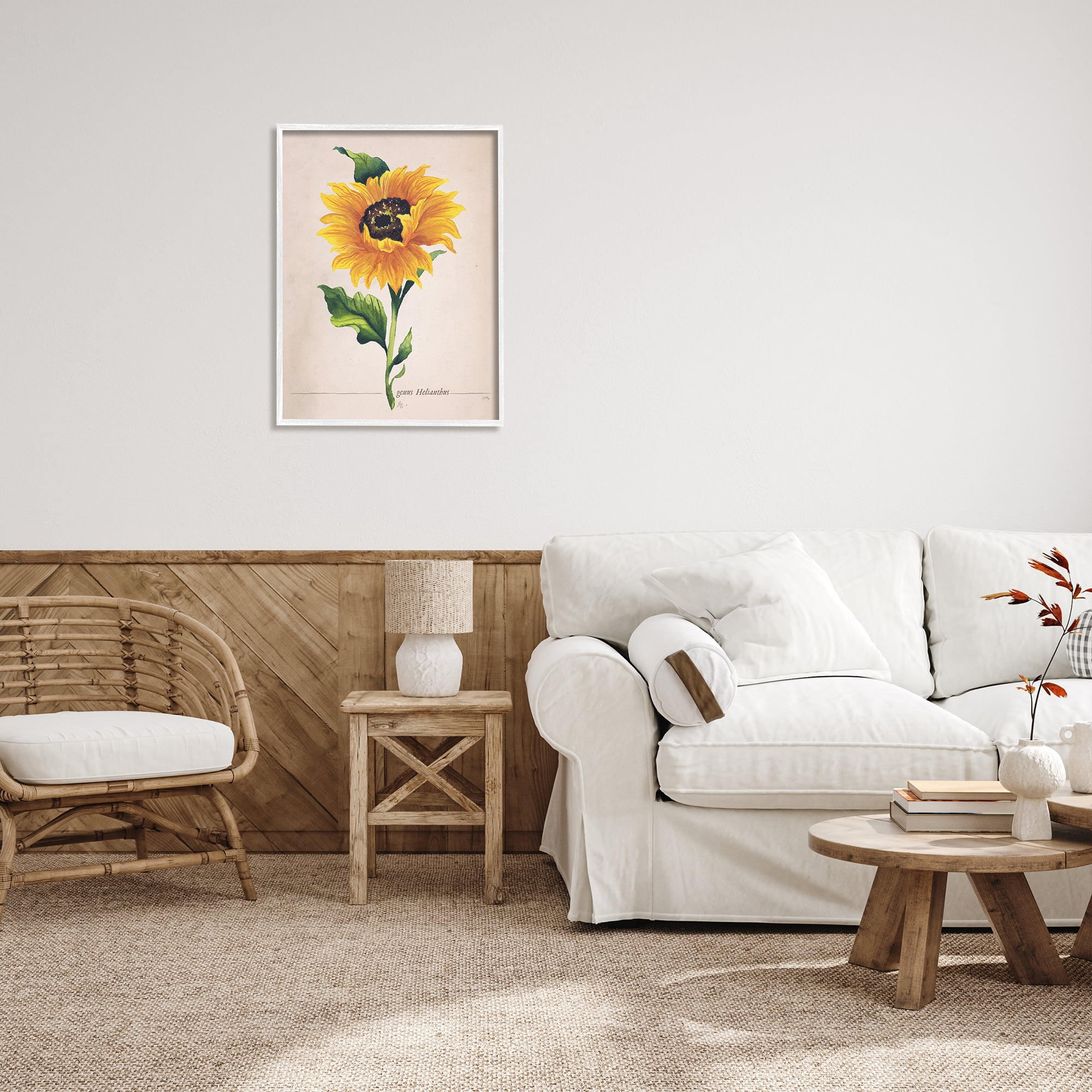 Stupell Industries Single Sunflower Blossom Genus Name Study Page Graphic Art White Framed Art Print Wall Art, Design by Elizabeth Medley
