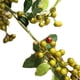 thumbnail image 4 of Moyic Navidad artificial bayas rojas pequeña espuma fresca fruta falsa simulación hogar Navidad fiesta DIY accesorios de decoración Kits de decoración para fiestas verde Moyic JJ16241-06, 4 of 6